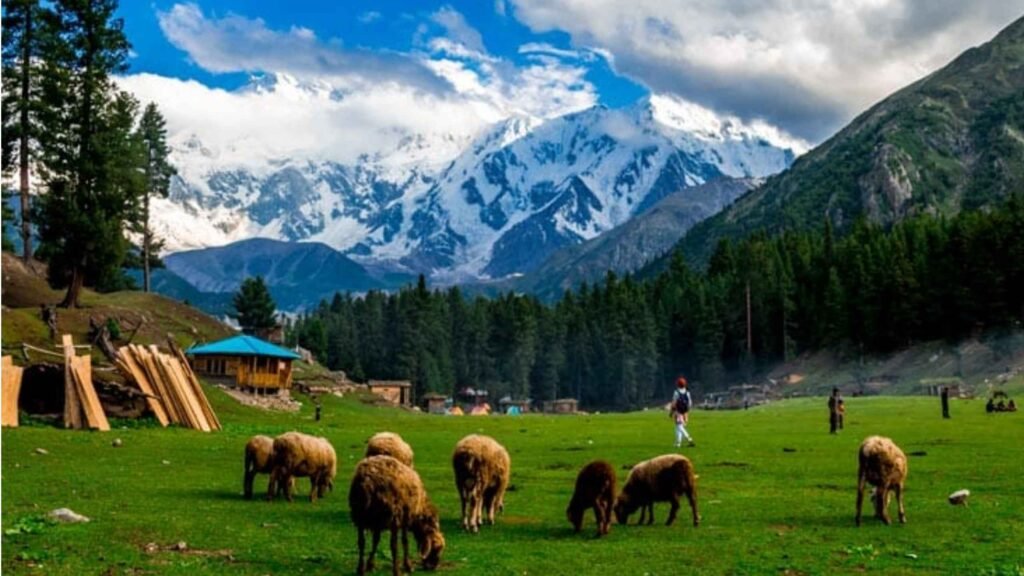 Fairy Meadows