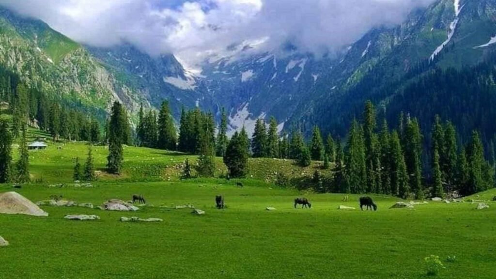 Kumrat Valley